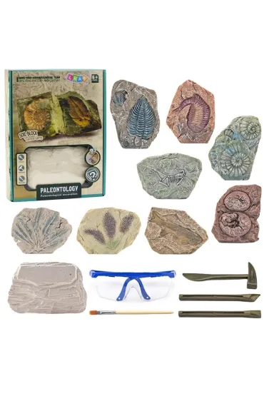 Zestaw paleontologiczny wykopaliska narzdzia LeanToys
