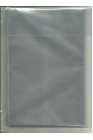 Polsyr Torba foliowa 20x25cm C3 25 szt.