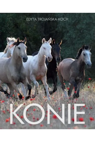 Konie - Edyta Troja�ska-Koch