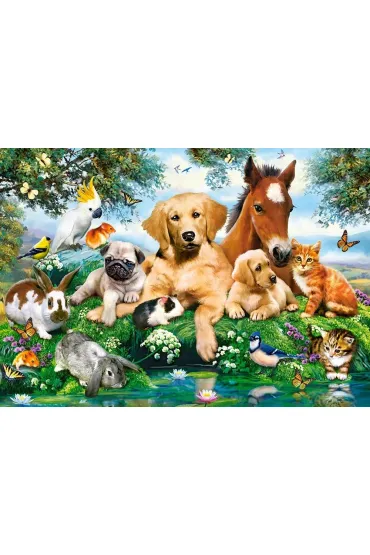 Puzzle 500 el. Letni przyjaciele Castorland
