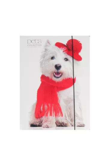 Pan Dragon Teczka z gumk� papierowa A4 Pets