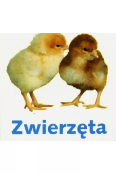 Zwierz�ta. Kostka