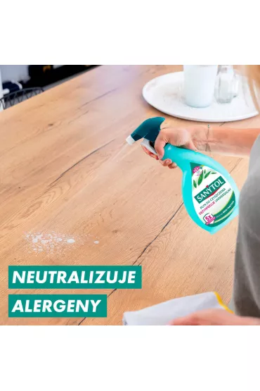 Sanytol Spray uniwersalny do czyszczenia i dezynfekcji o zapachu eukaliptusa Zestaw 2 x 500 ml