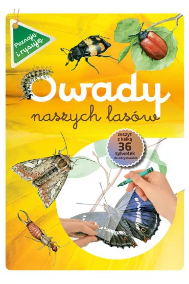 Poznaje i rysuj�. Owady naszych las�w - Katarzyna Kopiec-Sekieta