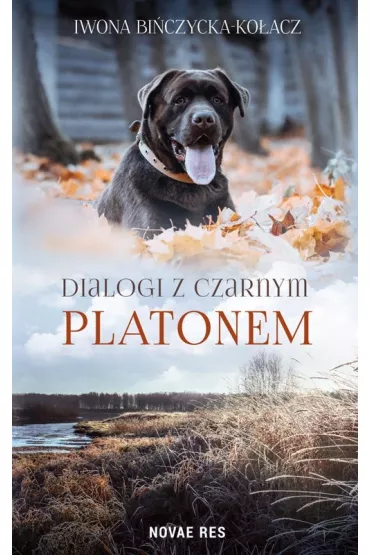 Dialogi z czarnym Platonem - Iwona Bi�czycka-Ko�acz