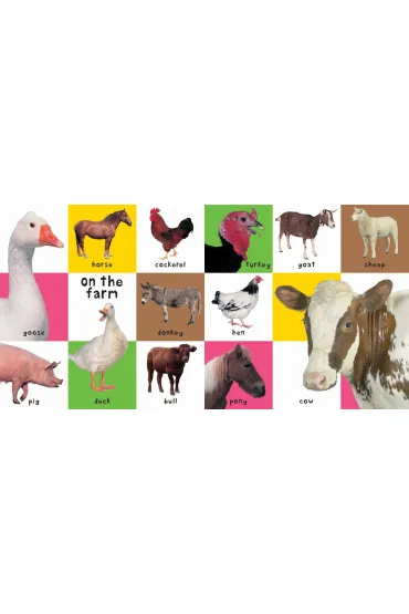 First 100 Animals - Roger Priddy