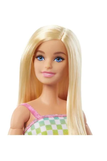 Barbie Fashionistas. Na w�zku str�j w kratk� HJT13 Mattel