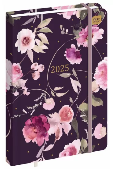 Interdruk Kalendarz ksi��kowy 2025 B6 192 Met.Dream