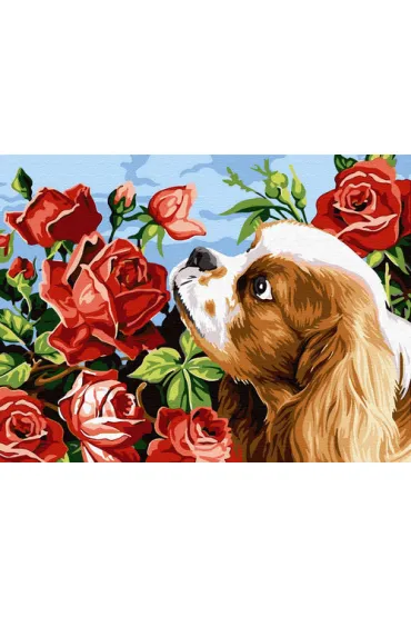 Twoje Hobby Malowanie po numerach - Piesek i r�e 30x40cm