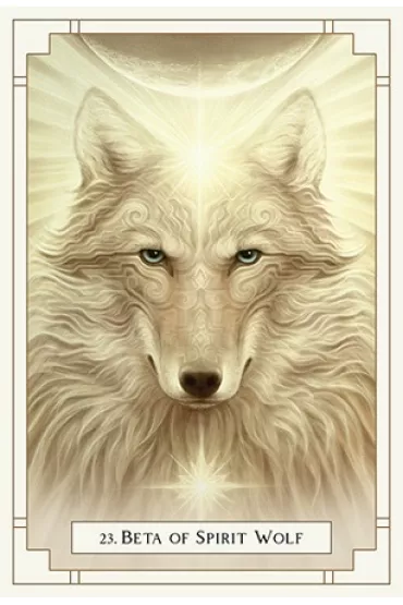 White Light Oracle, Wyrocznia Bia�ego �wiat�a, karty - Alana Fairchild