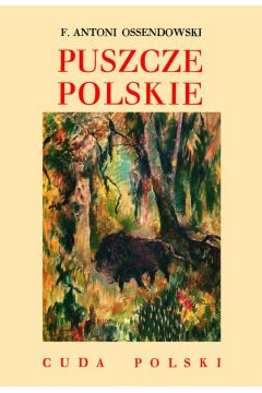 Cuda Polski. Puszcze polskie