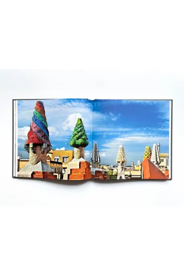 Gaudi - Marina Linares