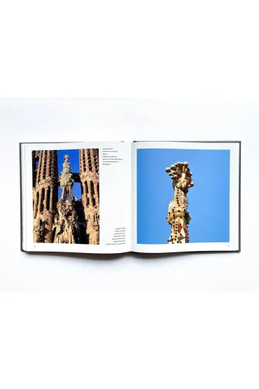 Gaudi - Marina Linares
