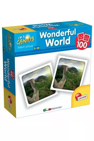 I"m a genius memoria 100 wonderful world *