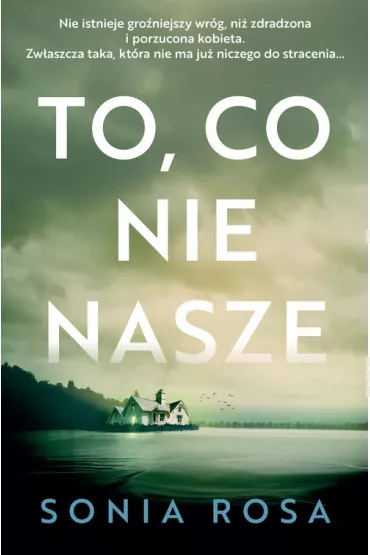 To, co nie nasze. Wielkie Litery - Sonia Rosa