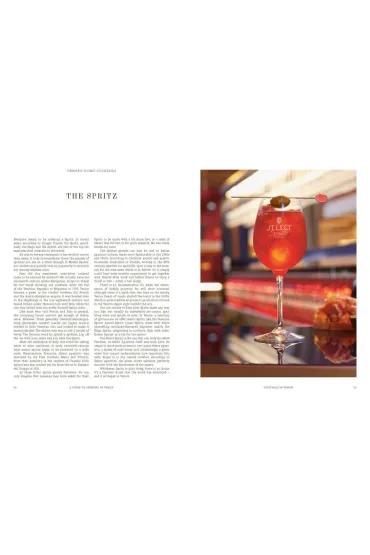 A Guide to Drinking in Venice - Susan L Schwartz