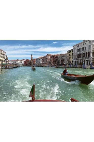 A Guide to Drinking in Venice - Susan L Schwartz