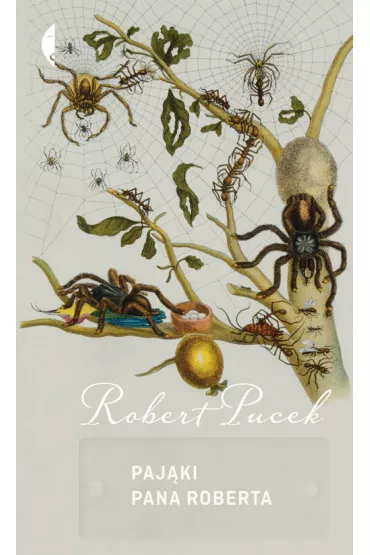 Paj�ki pana Roberta - Robert Pucek