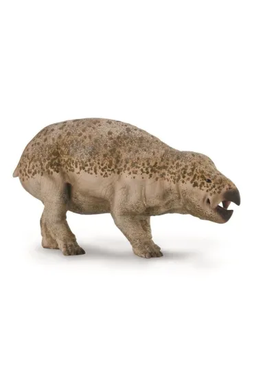 Lisowicia