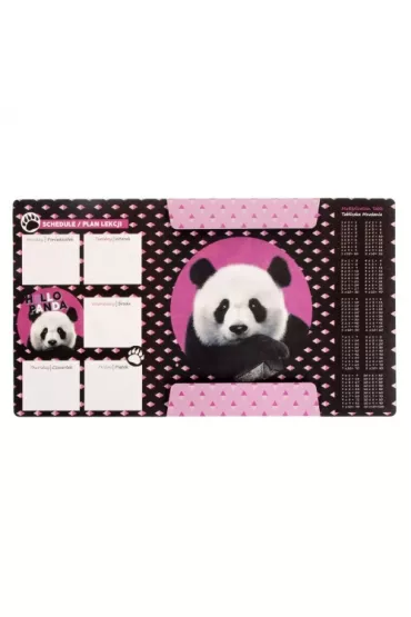 Starpak Teczka A4 z gumk� Panda
