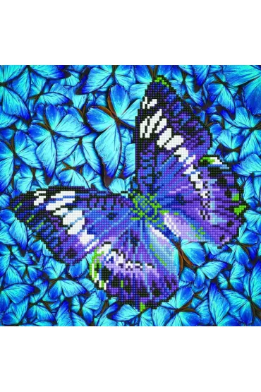 Dante Haft diamentowy - Adults Flutter By Mauve 38x38cm