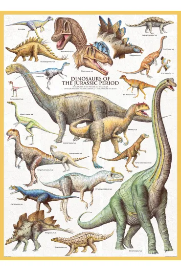 Puzzle 1000 el. Dinozaury z okresu jurajskiego Eurographics