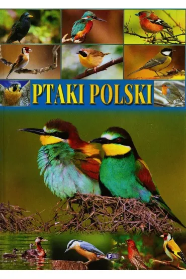 Ptaki Polski