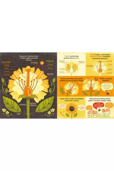 Co si kryje w kwiatku? Fascynujce ciekawostki przyrodnicze - Rachel  Ignotofsky