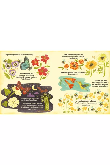 Co si kryje w kwiatku? Fascynujce ciekawostki przyrodnicze - Rachel  Ignotofsky