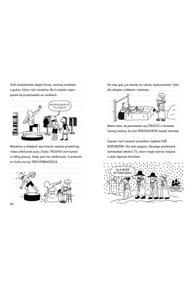 Jak po lodzie. Dziennik cwaniaczka. Tom 13 - Joanna Wajs, Jeff Kinney