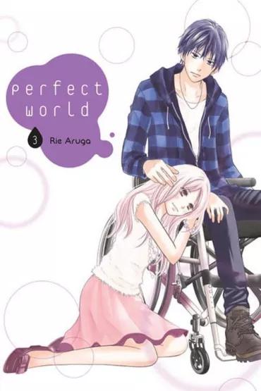 Perfect World. Tom 3 - Rie Aruga