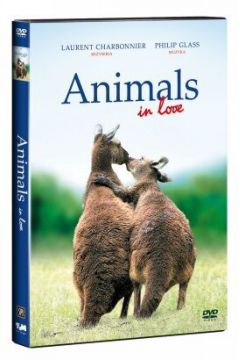 Animals in Love
