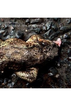 Lullabies Of Love And Death - Indigo Tree - Indigo Tree