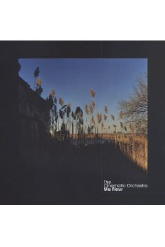 Ma Fleur (Niska cena) - The Cinematic Orchestra