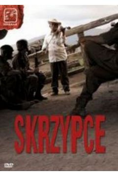 Skrzypce