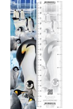 Worth Keeping Zakadka 3D Pingwiny