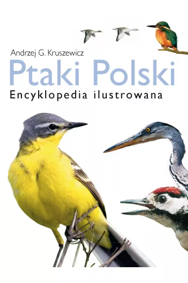 eBook Ptaki Polski. Encyklopedia ilustrowana pdf - Andrzej Kruszewicz