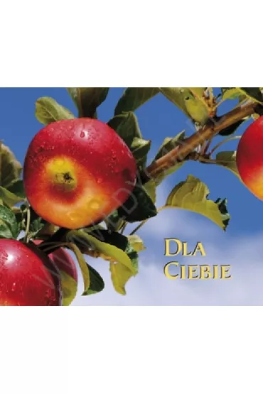 Dla Ciebie. Pere�ka 120