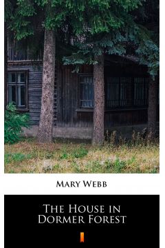 eBook The House in Dormer Forest mobi epub