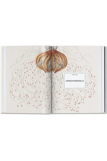 The Art and Science of Ernst Haeckel. 40th Ed. wer. angielska - Julia  Voss, Rainer  Willmann