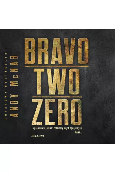 Audiobook Kryptonim Bravo Two Zero mp3 - Andy McNab