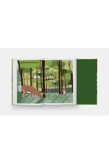 A Family of Trees. My First Book of Forests - Peggy Thomas