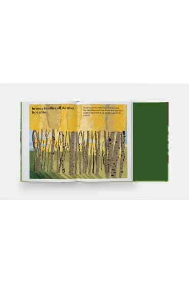 A Family of Trees. My First Book of Forests - Peggy Thomas