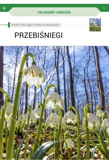 Przysz�a wiosna. Karty pracy dla I etapu nauczania uczni�w z niepe�nosprawno�ci� intelektualn� w stopniu umiarkowanym - Alicja Tanajewska, Renata Naprawa