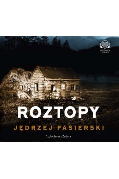 Audiobook Roztopy. Nina Warwiow. Tom 2 mp3
