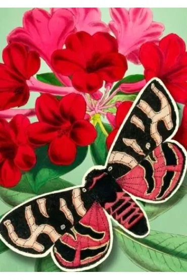 Madame Treacle Karnet B6 POP-UP z kopert� Czerwony motyl
