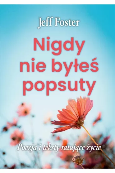 Nigdy nie by�e� popsuty - Jeff Foster