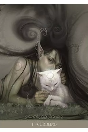 Barbieri Fantasy Cats, karty do wr�enia - Paolo Barbieri