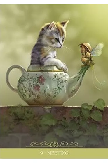 Barbieri Fantasy Cats, karty do wr�enia - Paolo Barbieri