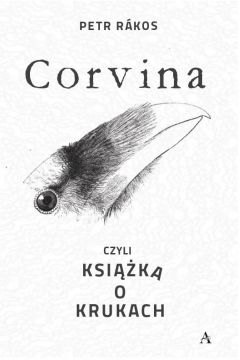 Corvina, czyli ksika o krukach
